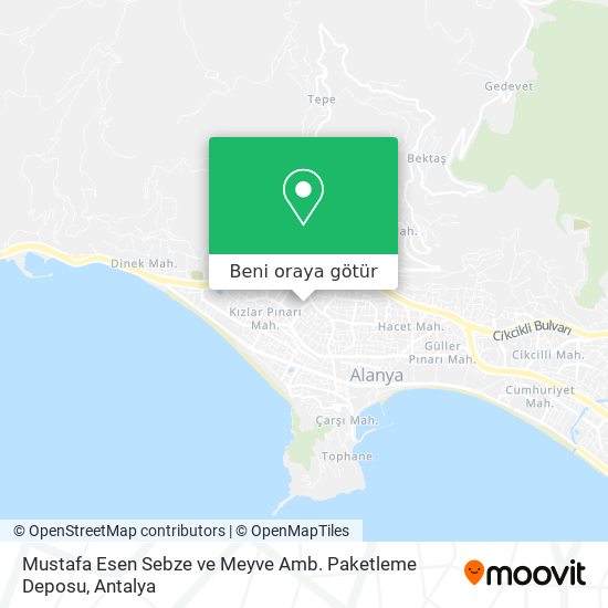 Mustafa Esen Sebze ve Meyve Amb. Paketleme Deposu harita