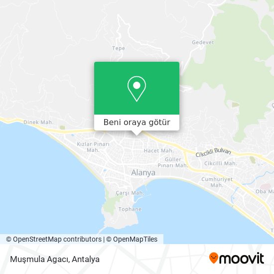 Muşmula Agacı harita