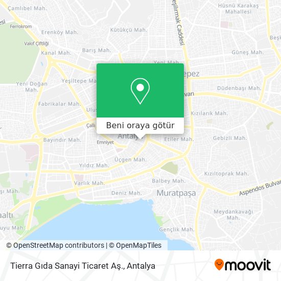 Tierra Gıda Sanayi Ticaret Aş. harita