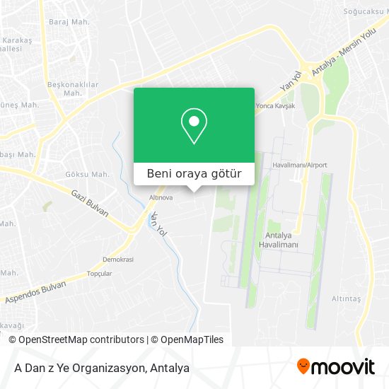 A Dan z Ye Organizasyon harita