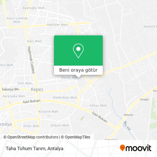 Taha Tohum Tarım harita