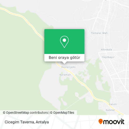 Cicegim Taverna harita