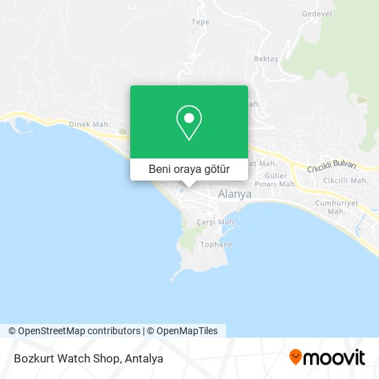 Bozkurt Watch Shop harita