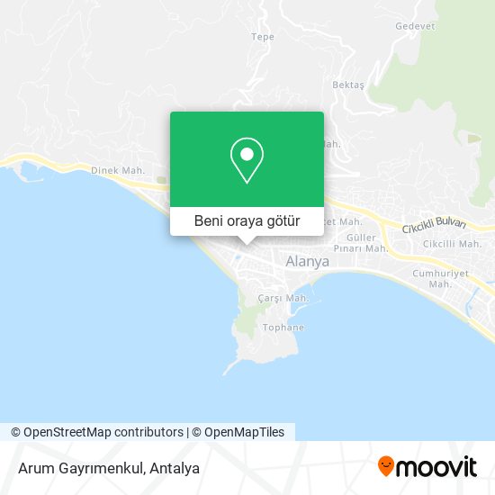 Arum Gayrımenkul harita