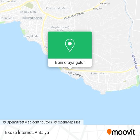 Ekoza İnternet harita