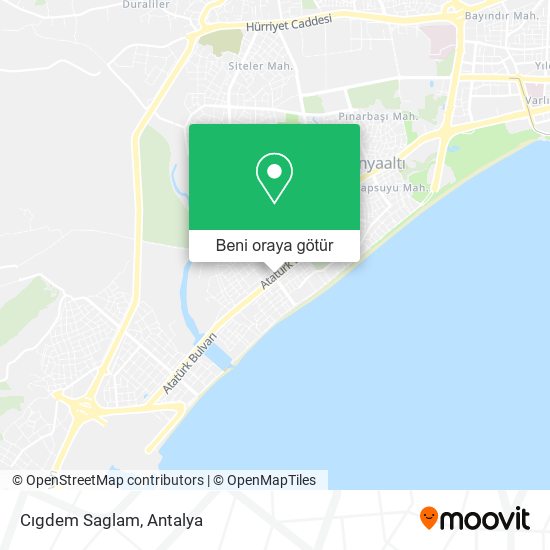 Cıgdem Saglam harita