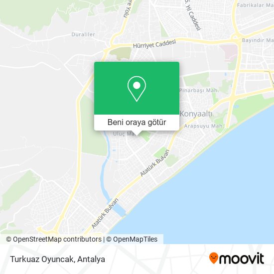 Turkuaz Oyuncak harita