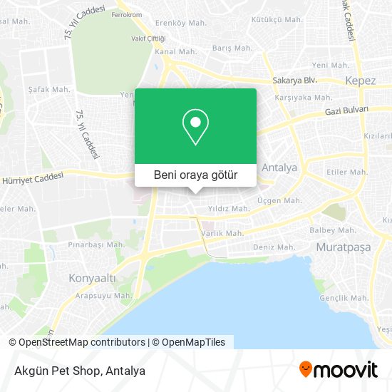 Akgün Pet Shop harita