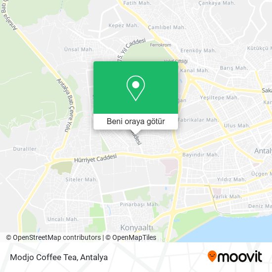 Modjo Coffee Tea harita