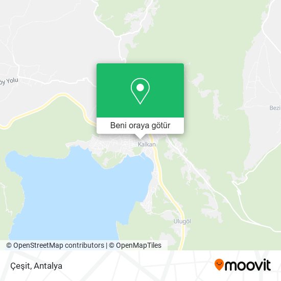 Çeşit harita