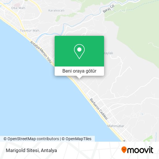 Marigold Sitesi harita