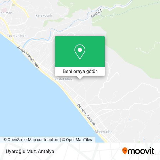 Uyaroğlu Muz harita