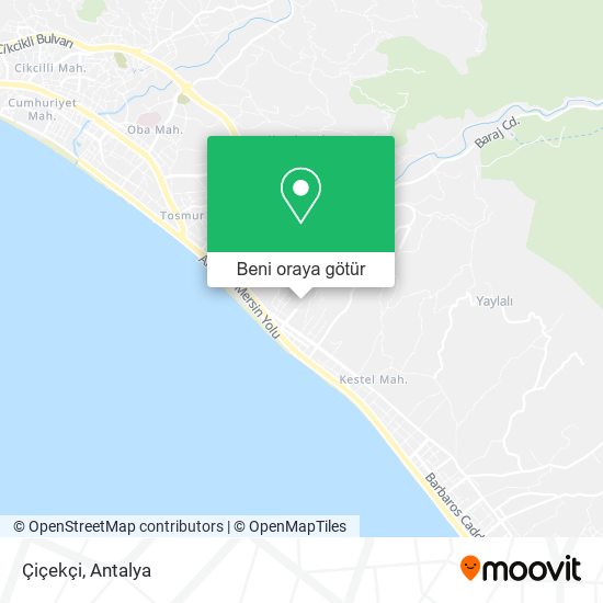Çiçekçi harita