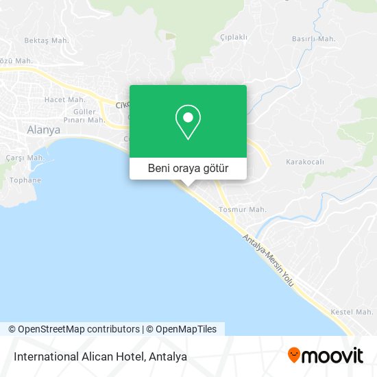 International Alican Hotel harita