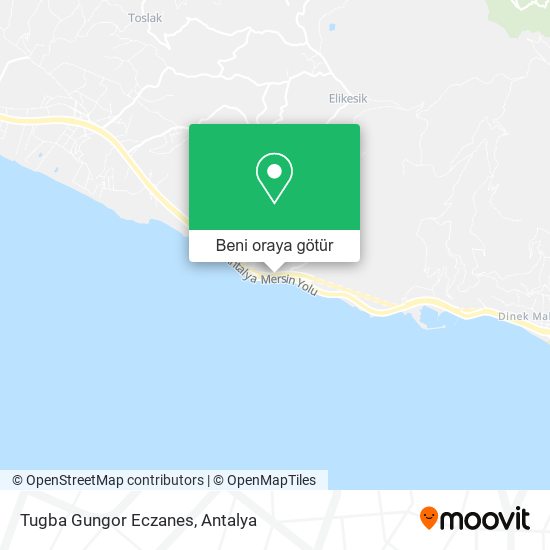 Tugba Gungor Eczanes harita