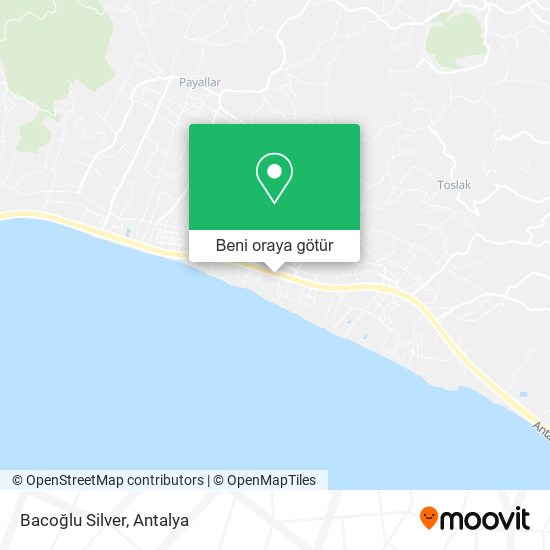 Bacoğlu Silver harita