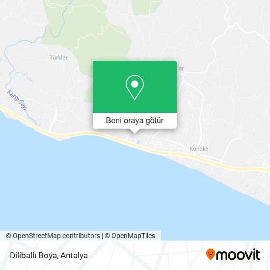 Diliballı Boya harita