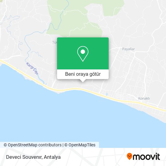 Deveci Souvenır harita