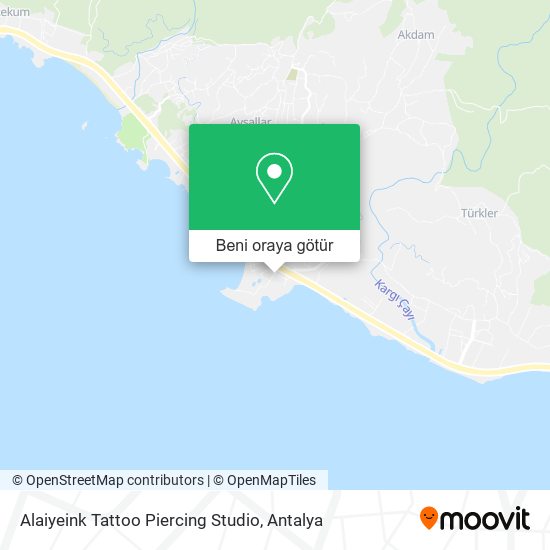 Alaiyeink Tattoo Piercing Studio harita