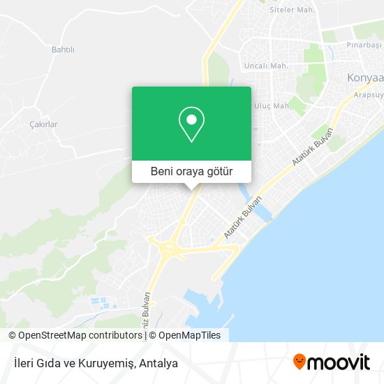 İleri Gıda ve Kuruyemiş harita