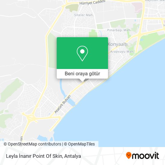 Leyla İnanır Point Of Skin harita