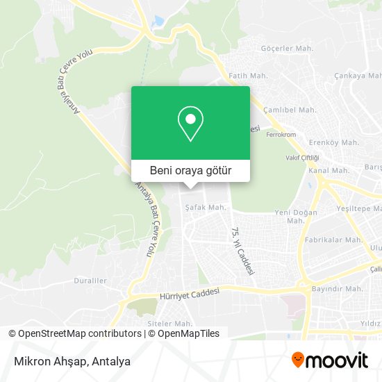 Mikron Ahşap harita