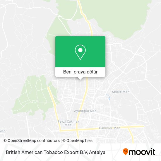 British American Tobacco Export B.V harita