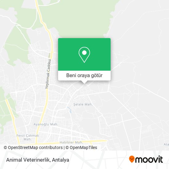 Animal Veterinerlik harita