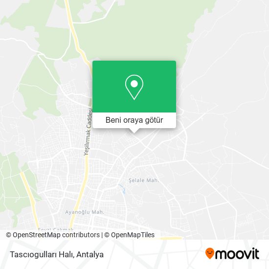 Tascıogulları Halı harita