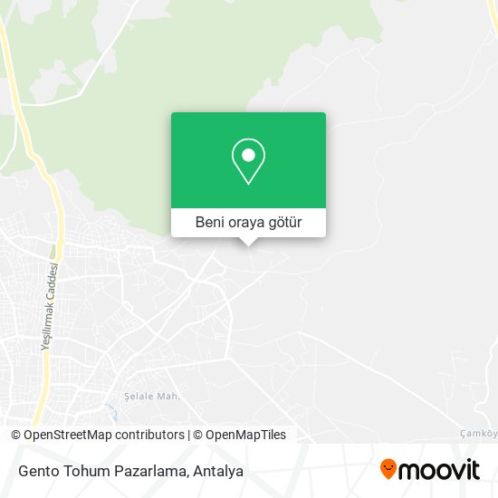 Gento Tohum Pazarlama harita