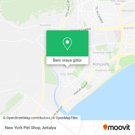 New York Pet Shop harita
