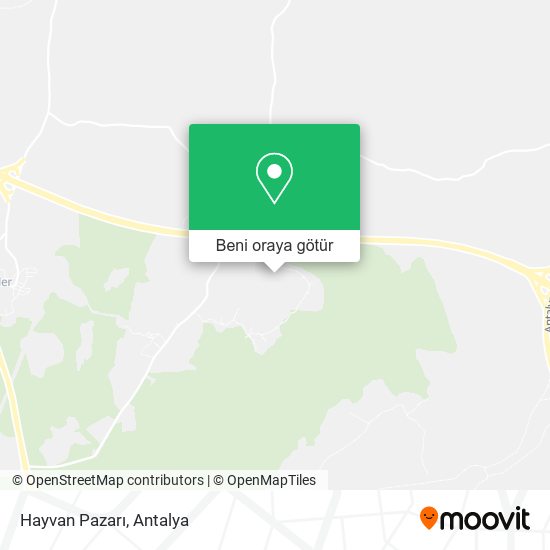 Hayvan Pazarı harita