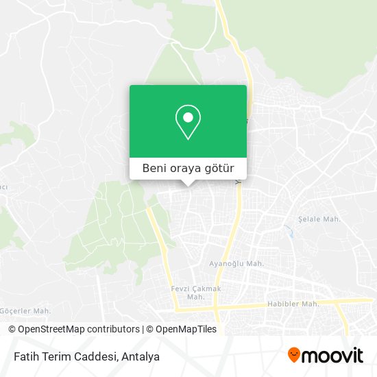Fatih Terim Caddesi harita