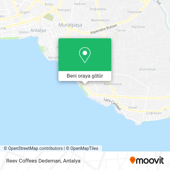 Reev Coffees Dedeman harita