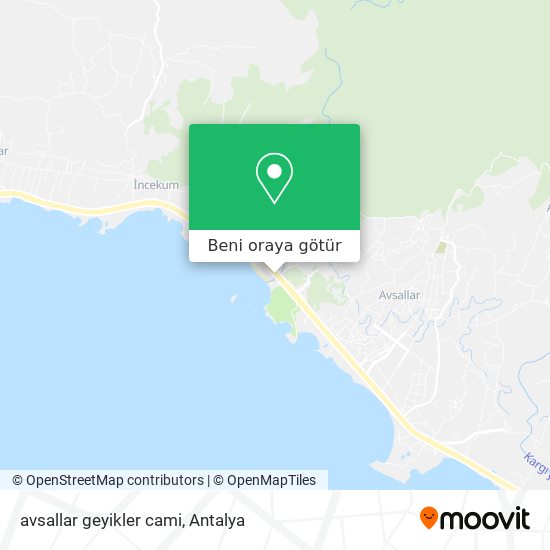 avsallar geyikler cami harita