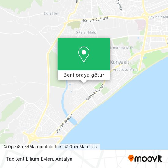 Taçkent Lilium Evleri harita