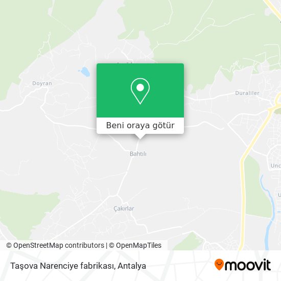 Taşova Narenciye fabrikası harita