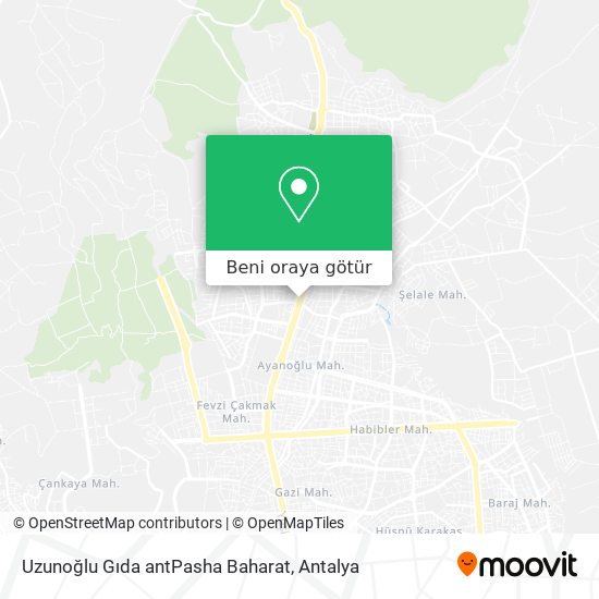 Uzunoğlu Gıda antPasha Baharat harita