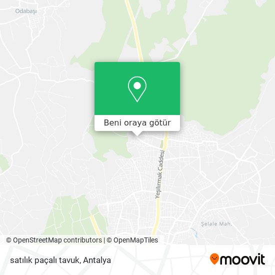 satılık paçalı tavuk harita