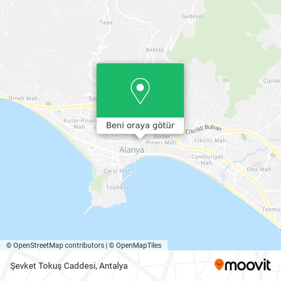Şevket Tokuş Caddesi harita