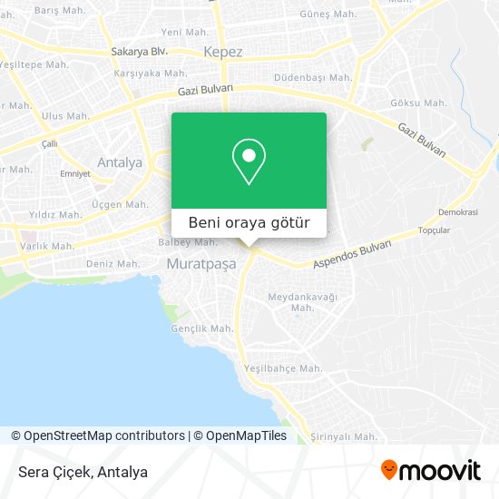 Sera Çiçek harita