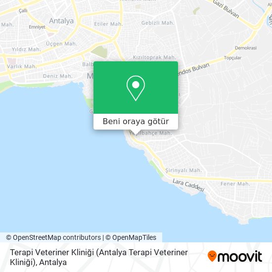 Terapi Veteriner Kliniği harita