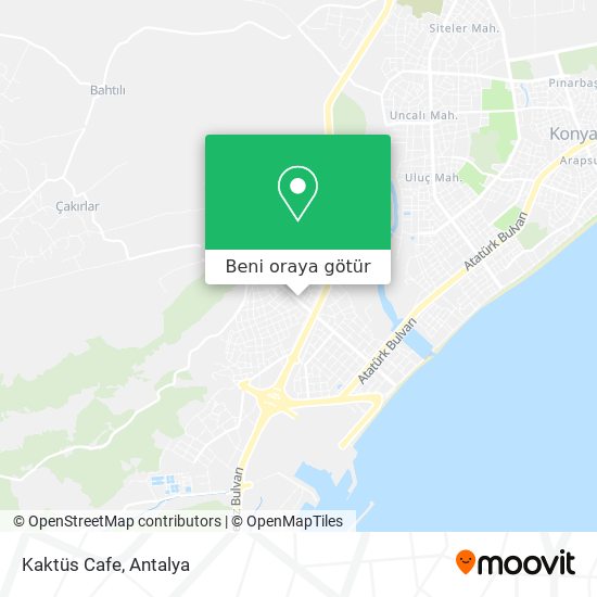 Kaktüs Cafe harita