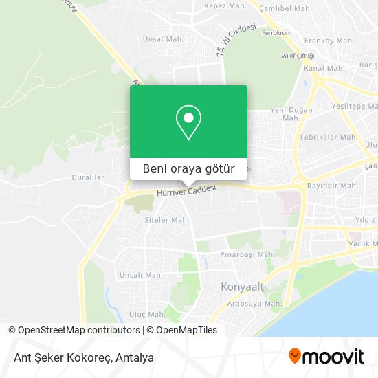 Ant Şeker Kokoreç harita