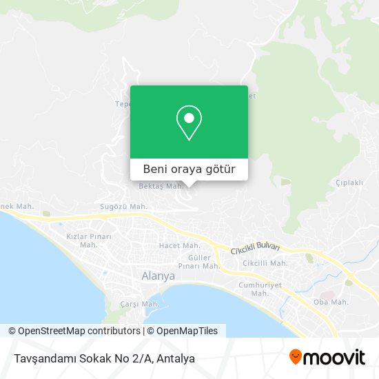 Tavşandamı Sokak No 2/A harita