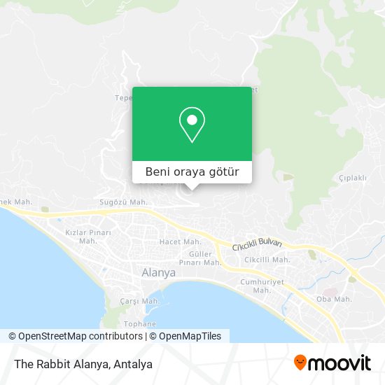 The Rabbit Alanya harita