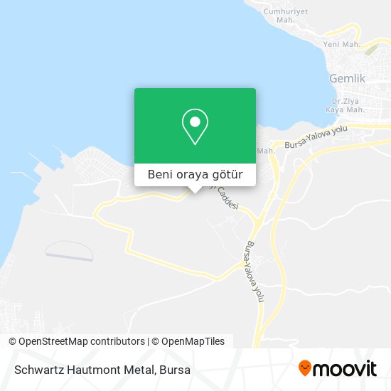 Schwartz Hautmont Metal harita
