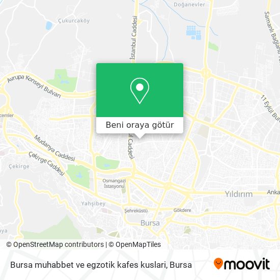 Bursa muhabbet ve egzotik kafes kuslari harita