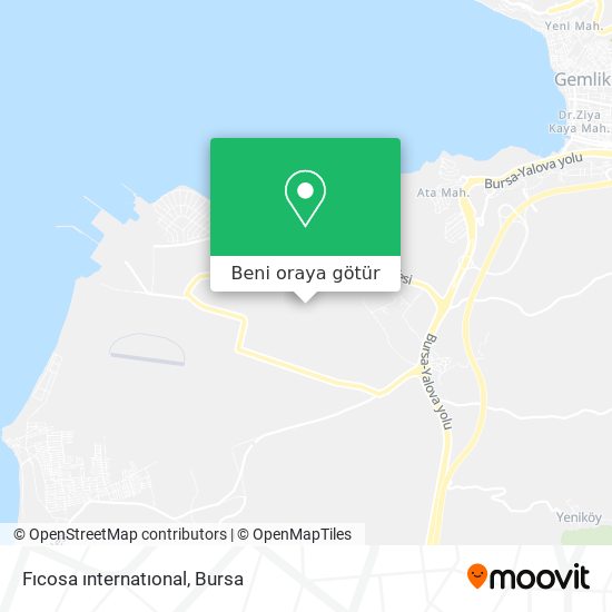 Fıcosa ınternatıonal harita