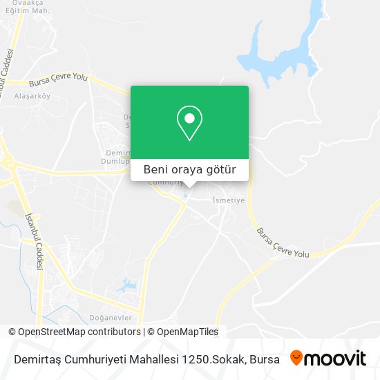 Demirtaş Cumhuriyeti Mahallesi 1250.Sokak harita
